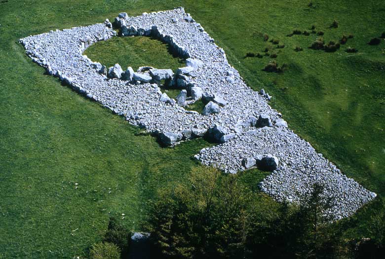 Creevykeel from the air.