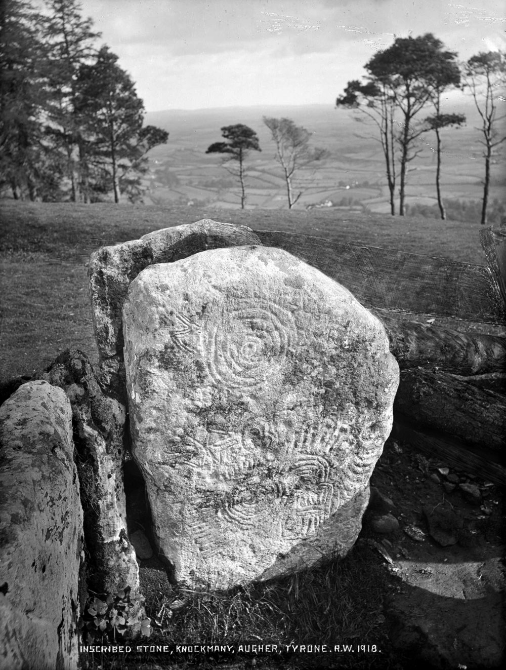 Decorated stone at the Knockmany passage-grave. Photograph by Robert Welch, © NMNI.