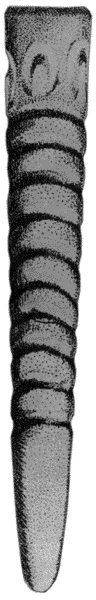 The Knowth 'phallic object'.