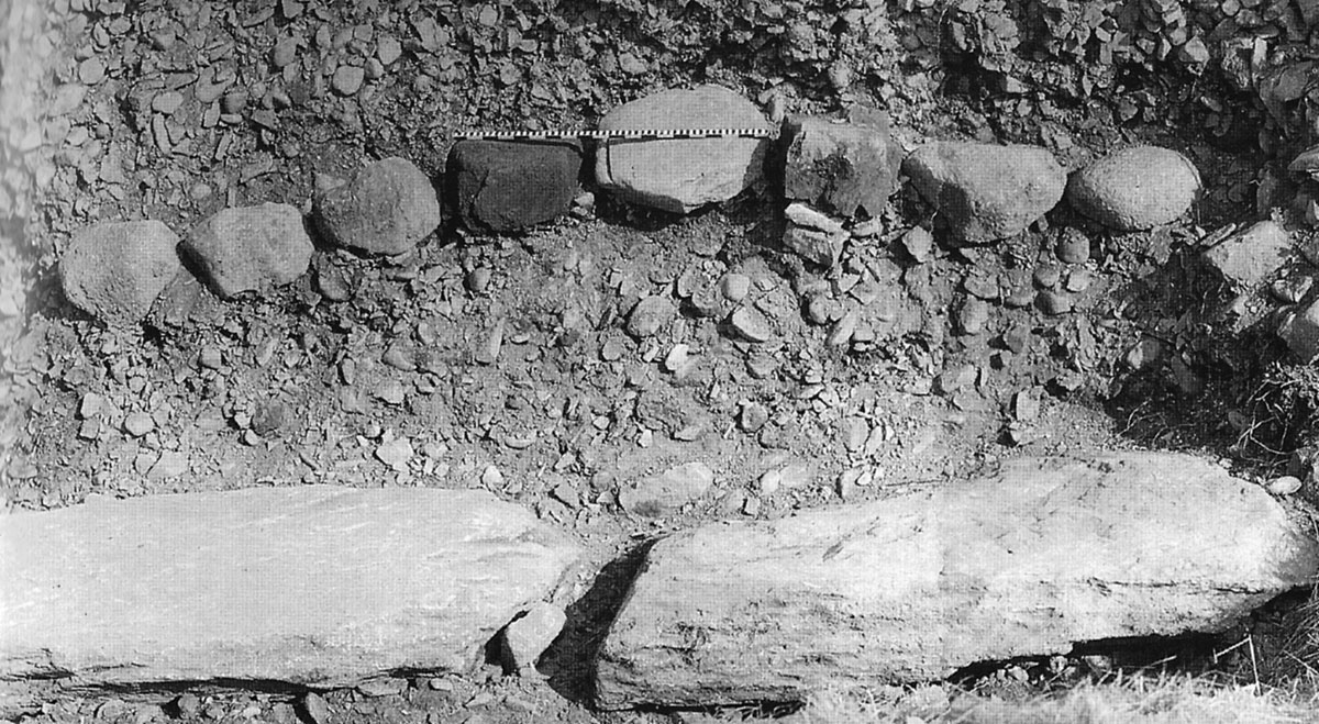 An aerial image of Newgrange during excavations. Photograph by Leo Swan.