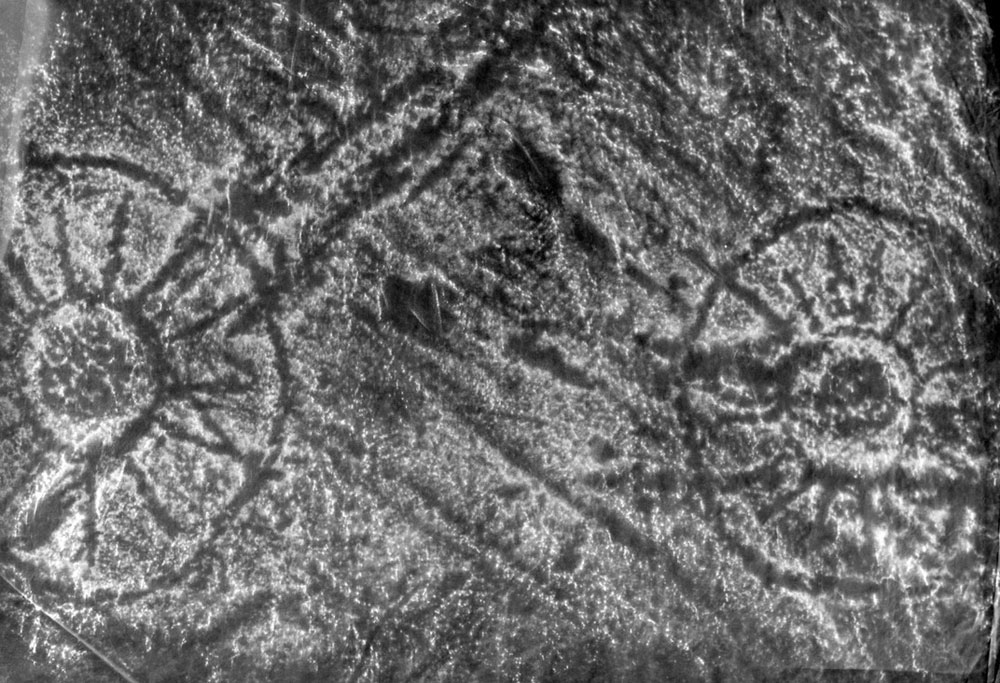 A rubbing of two of the images carved into the Stone of the Seven Suns on Kerbstone 51 at Dowth.