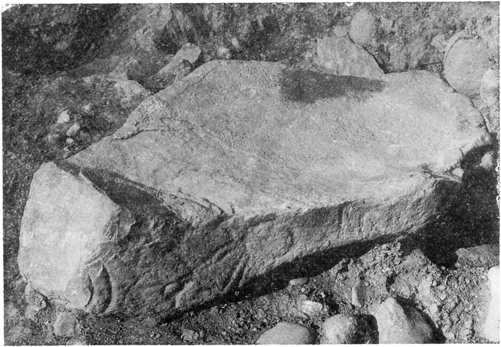 A photograph of the unusual basin stone found in Cairn Z at Newgrange in 1966.
