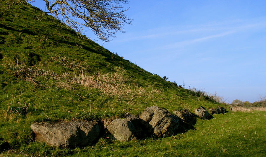 Kerbstones
      on the south side of the great mound at Dowth.