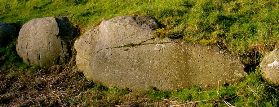 Some
          of the kerbstones with engravings on the south side of the great mound
          at Dowth.