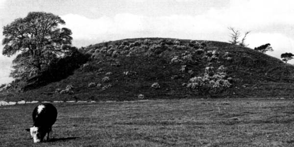 A photo of the mound of Dowth from the 1960's.