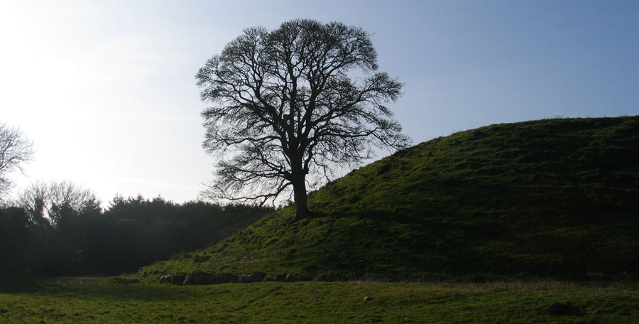 The great sycamore and a line of kerbstones
      on the south side of the great mound.