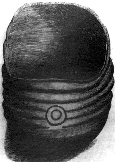 An early illustration of a stone urn or basin which was found at Knowth