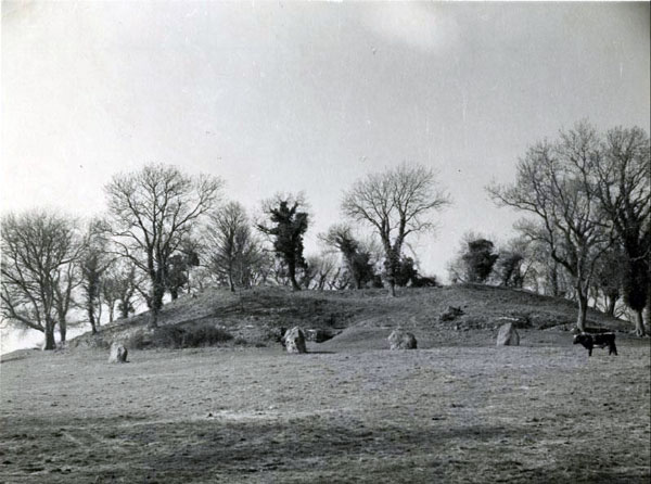 Pre-excavation: Newgrange in the 1930's.