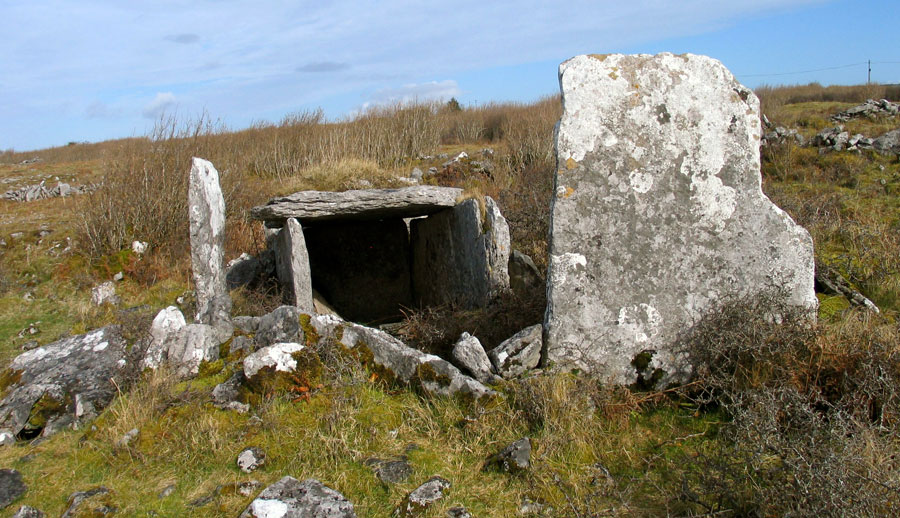 A wedge tomb to the north of Parknabinna.