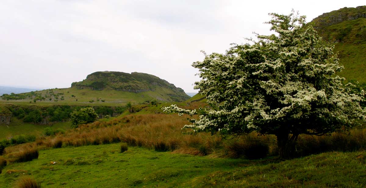 Doonaveeragh Mountain at Carrowkeel.