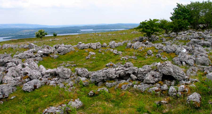 A large hut circle on the eastern edge of the plateau of Doonaveeragh.