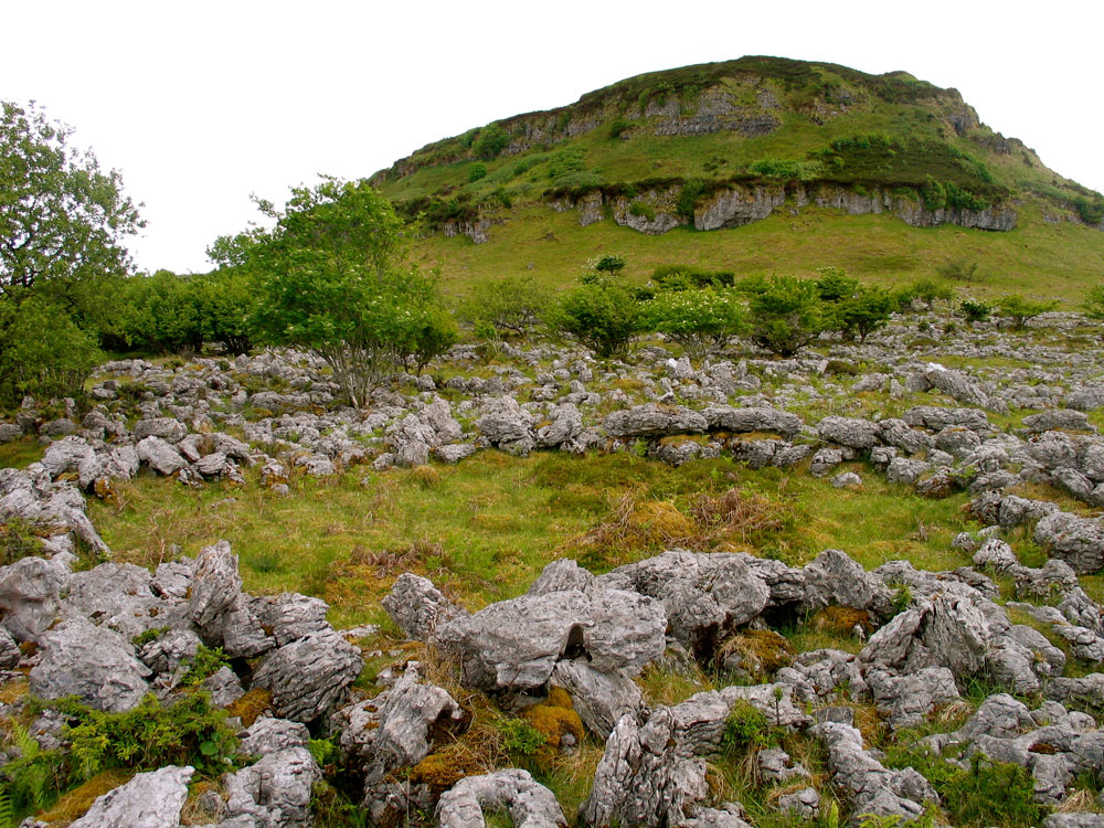 A Doonaveeragh hut site.