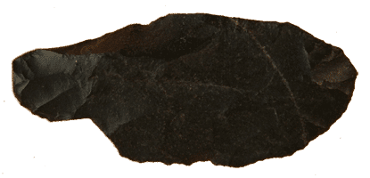 A flake of chert.