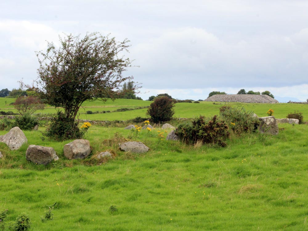 Circle 36 looking back to the centre of Carrowmore.