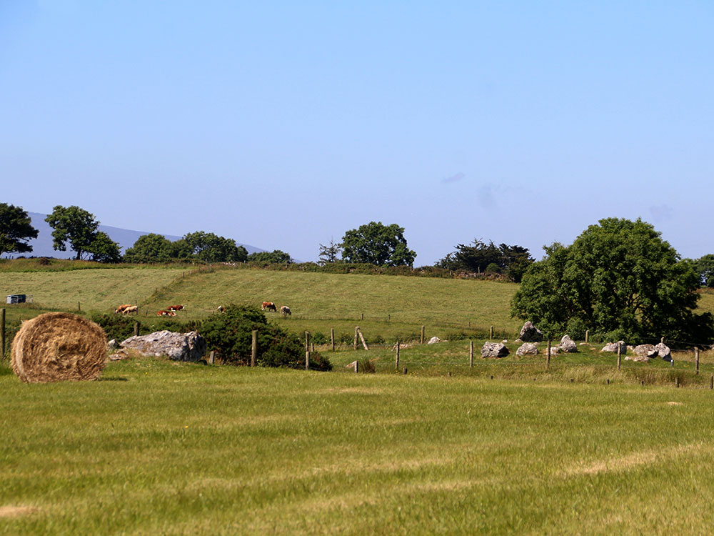 Monuments 48 and 49 at Carrowmore.