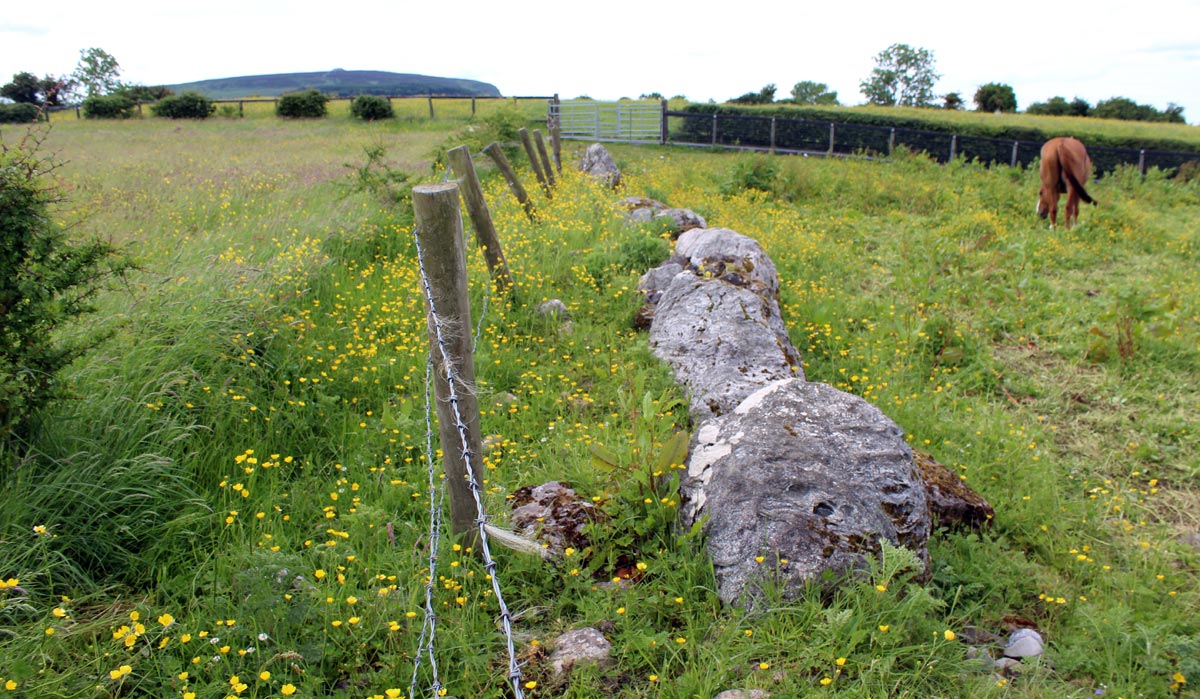 Stone walls at Carrowmore.