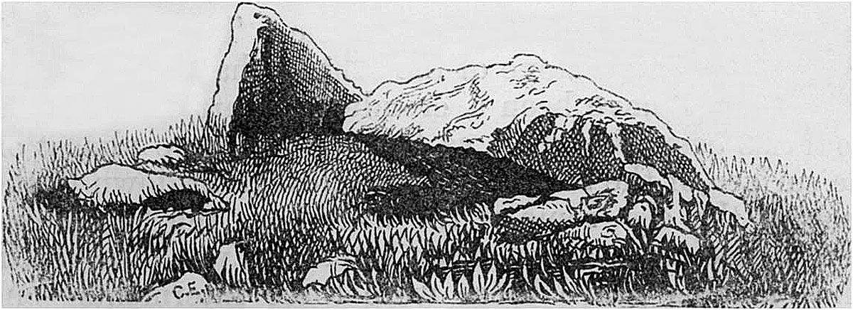 Charles Elcock's 1883 illustration of Carrowmore 48.