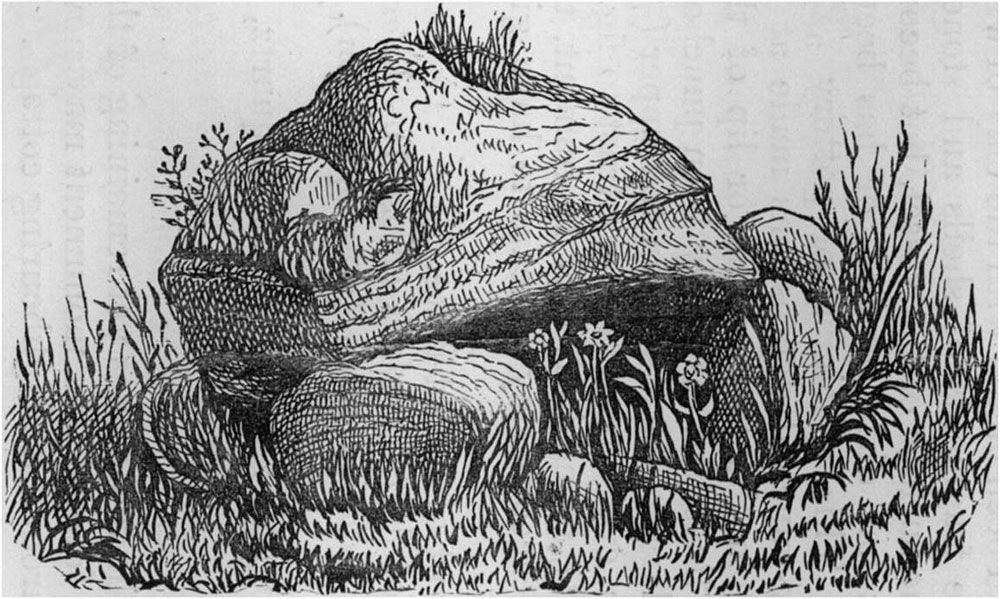 Charles Elcock's 1883 illustration of Carrowmore 54.