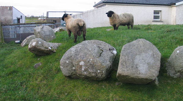 Circle 18 at Carrowmore.