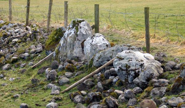 Circle 6 at Carrowmore.