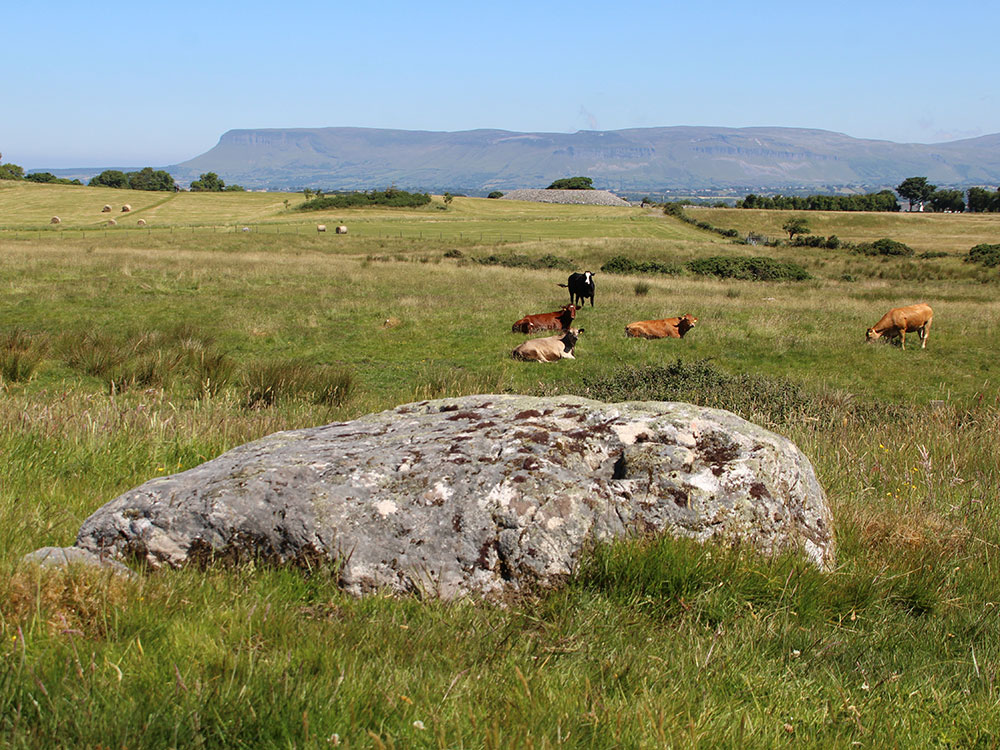 Erratic gneiss boulders to the south of Carrowmore.