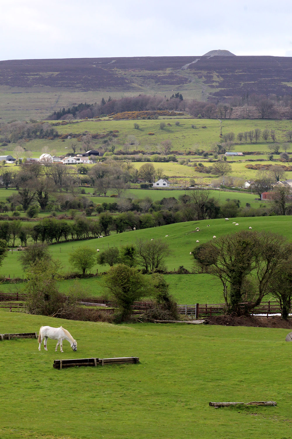Landscape at Carrowmore.