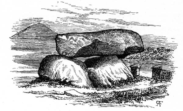 Dolmen
        of the Four Maols, Ballina, Co Mayo. From Borlase, Dolmens of Ireland, 1895.