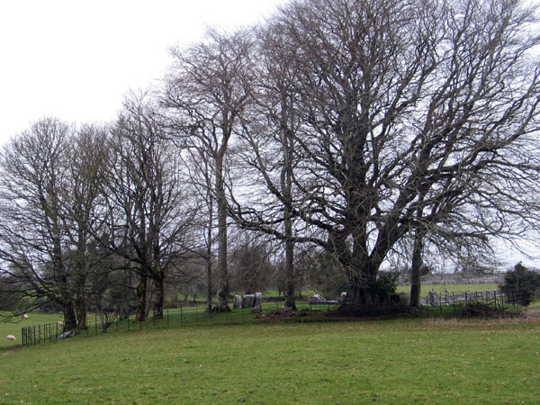 The circle nearest the road, within its fence and grove of trees.