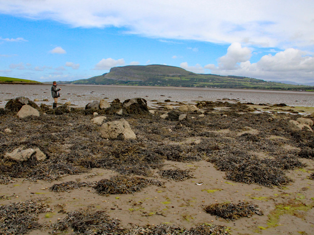 The view to Knocknarea from the ruins of Eochy's cairn on the strand at Tanrego.