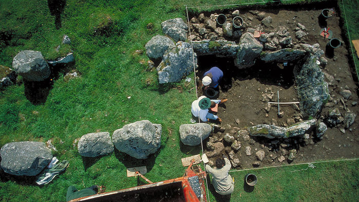 Excavations at Primrose Grange.