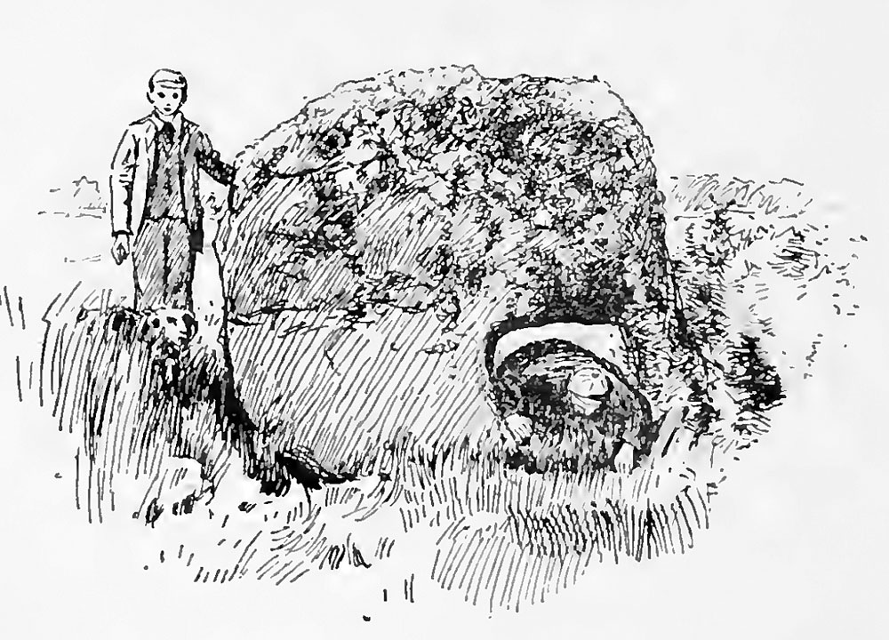 A sketch of the Speckled Stone from Pagan Ireland by W. G. Wood-Martin.
