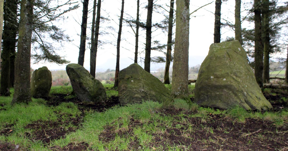 The Barnasrahy stone row, close to Tobernaveen.
