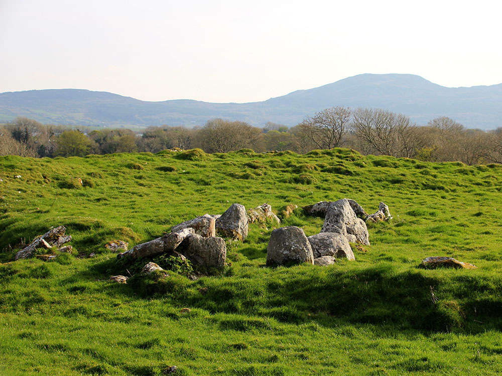 The Primrose Grange court tomb.