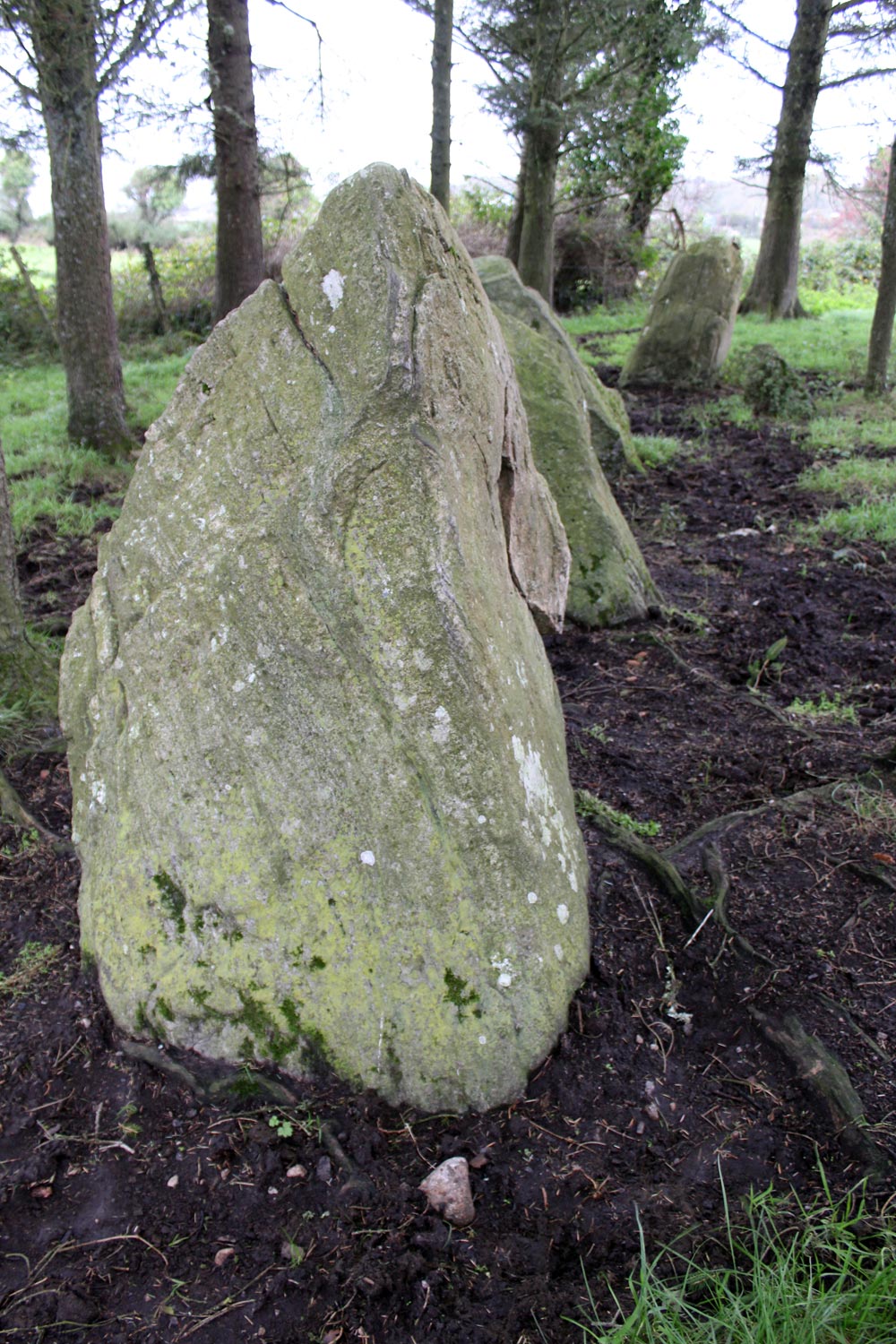 The Barnasrahy stone row.