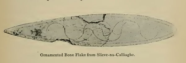 Bone slip from Cairn H.