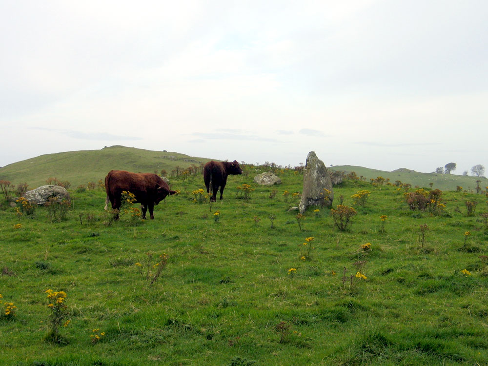 View west from the ruins of Cairn N.