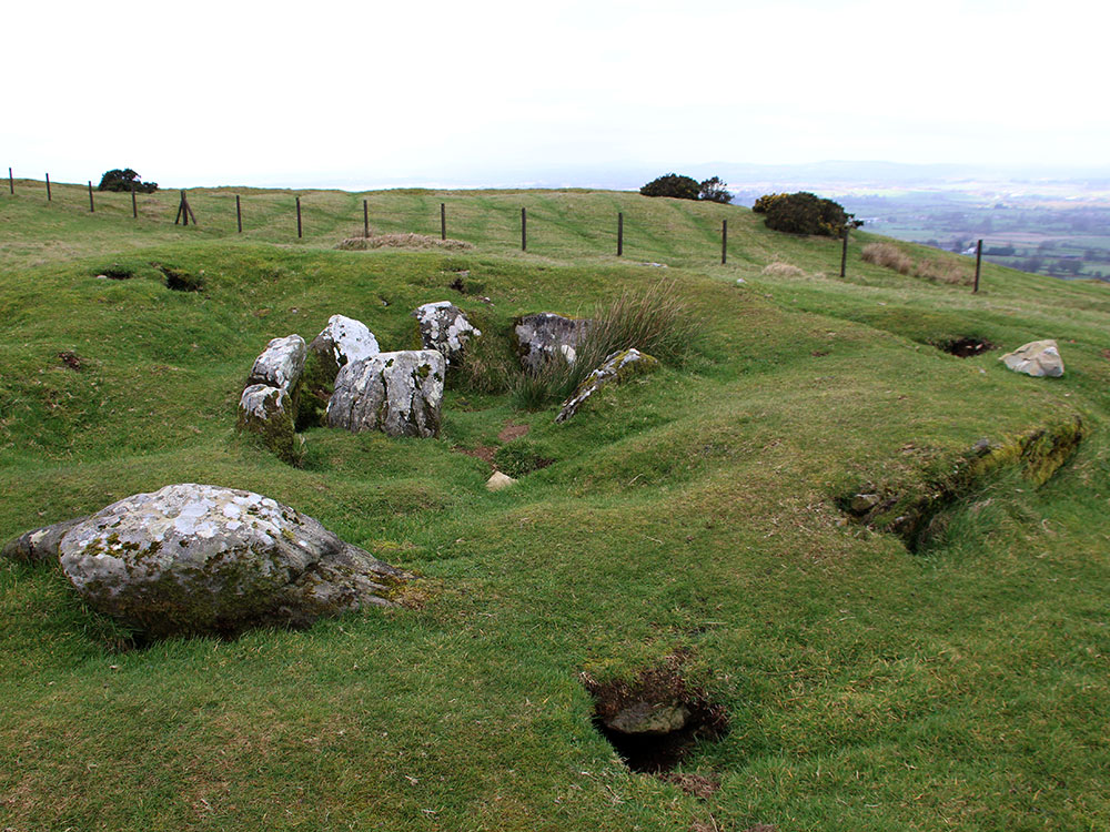 Cairn W at Loughcrew