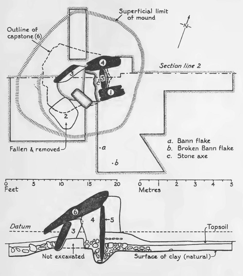 The plan and elevation of theDromadone dolmen from the 1954 excavation.