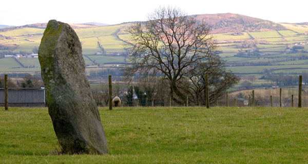 The outlying standing stone at Beltany.