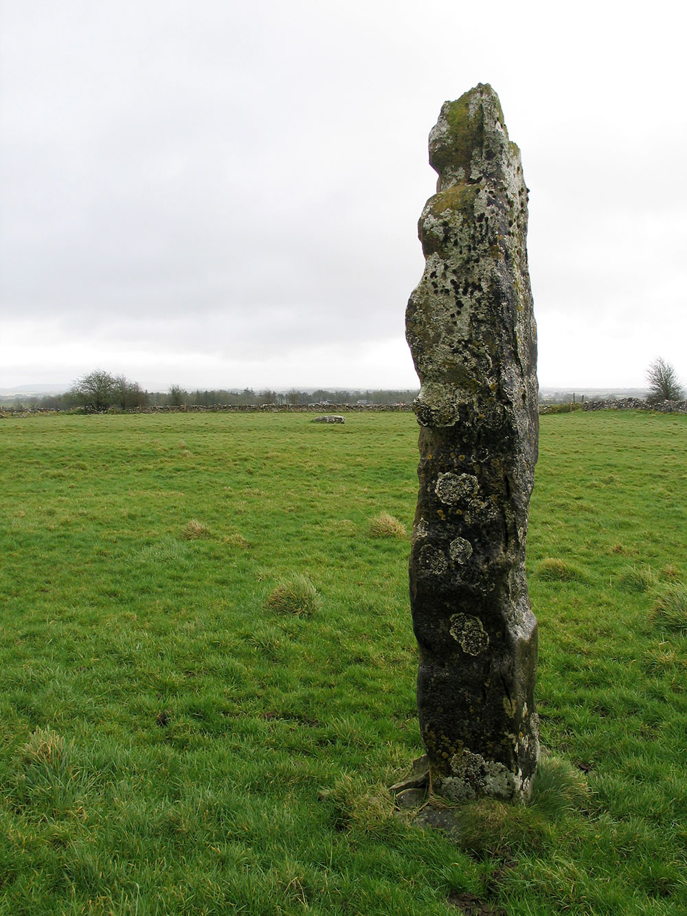 Cloch Fada na Cairn, the long stone of the Cairns at Carnfree.