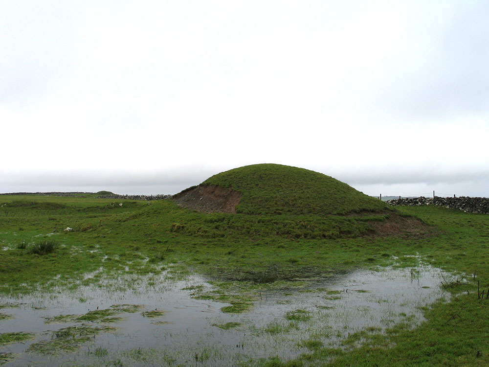 The large barrow on the ridge of Carnfree.