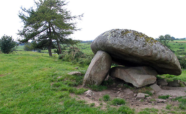 Collapsed dolmen in Carlow