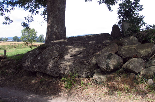 Collapsed dolmen in County Kilkenny