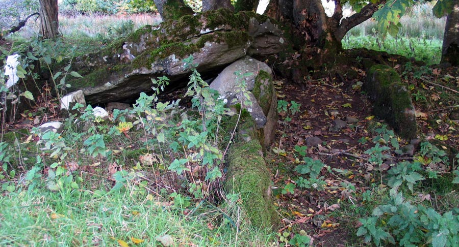 A
  ruinous wedge monument beside the Drumcliff river in Co Sligo.