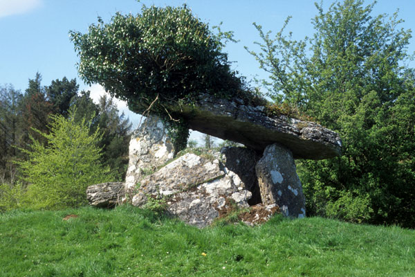 The Fenagh dolmen.
