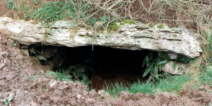 The entrance to the Cave of the Cats at Rathcroghan.