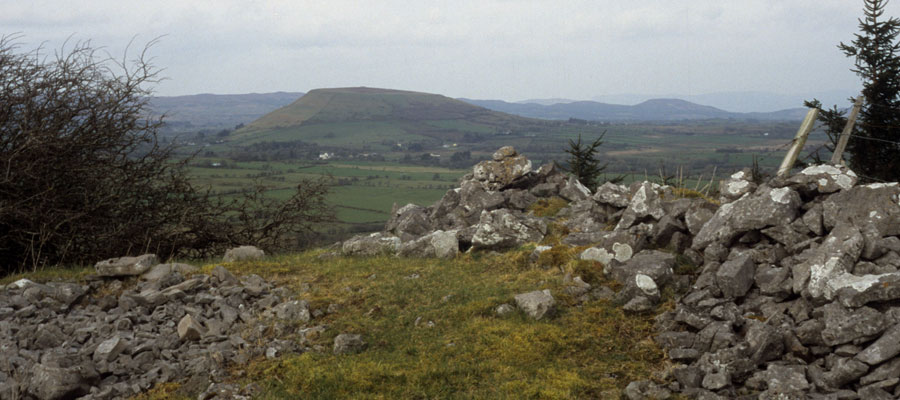 The view from Muckelty cairn.