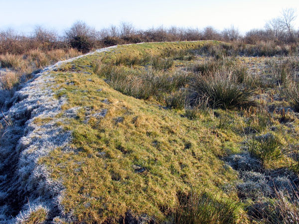 A portion of the oval enclosure on the west side of the megalithic chamber at Ardloy.
