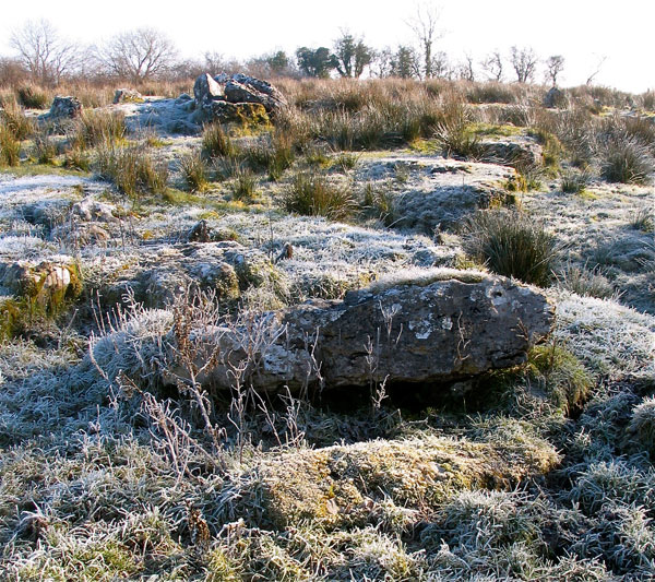 Ardloy megalith