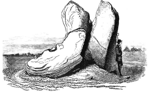 Cloghcor dolmen from an illustration by William Wakeman in Rude Stone Monuments by W. G. Wood-Martin.